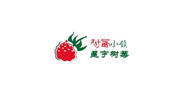 本公司通过国家科技部高新技术企业认证